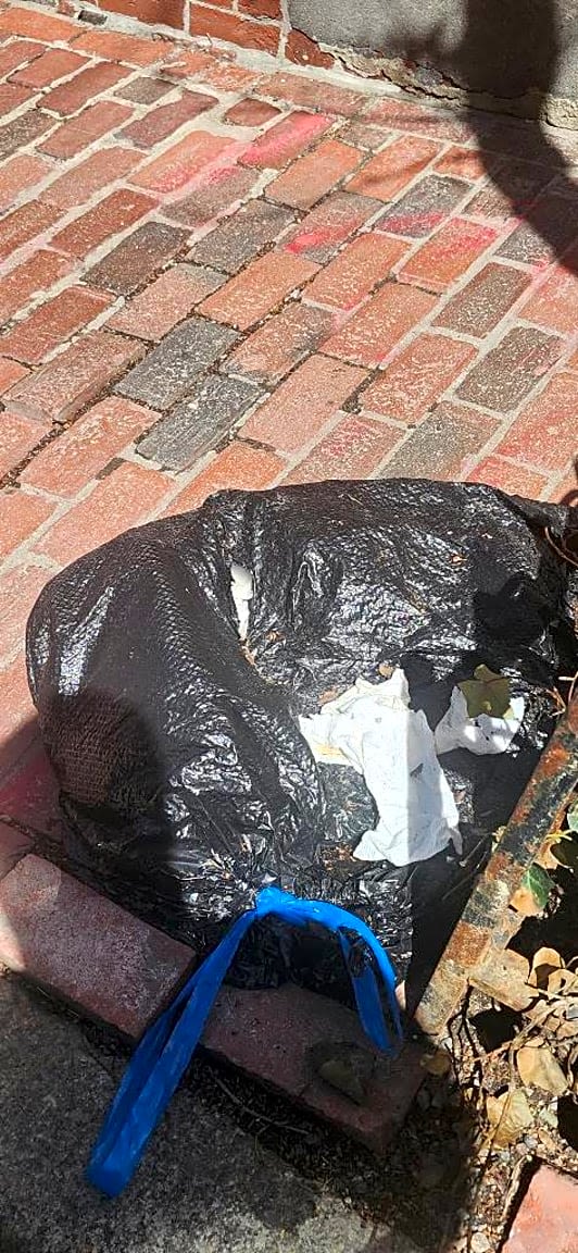 Image submitted with report