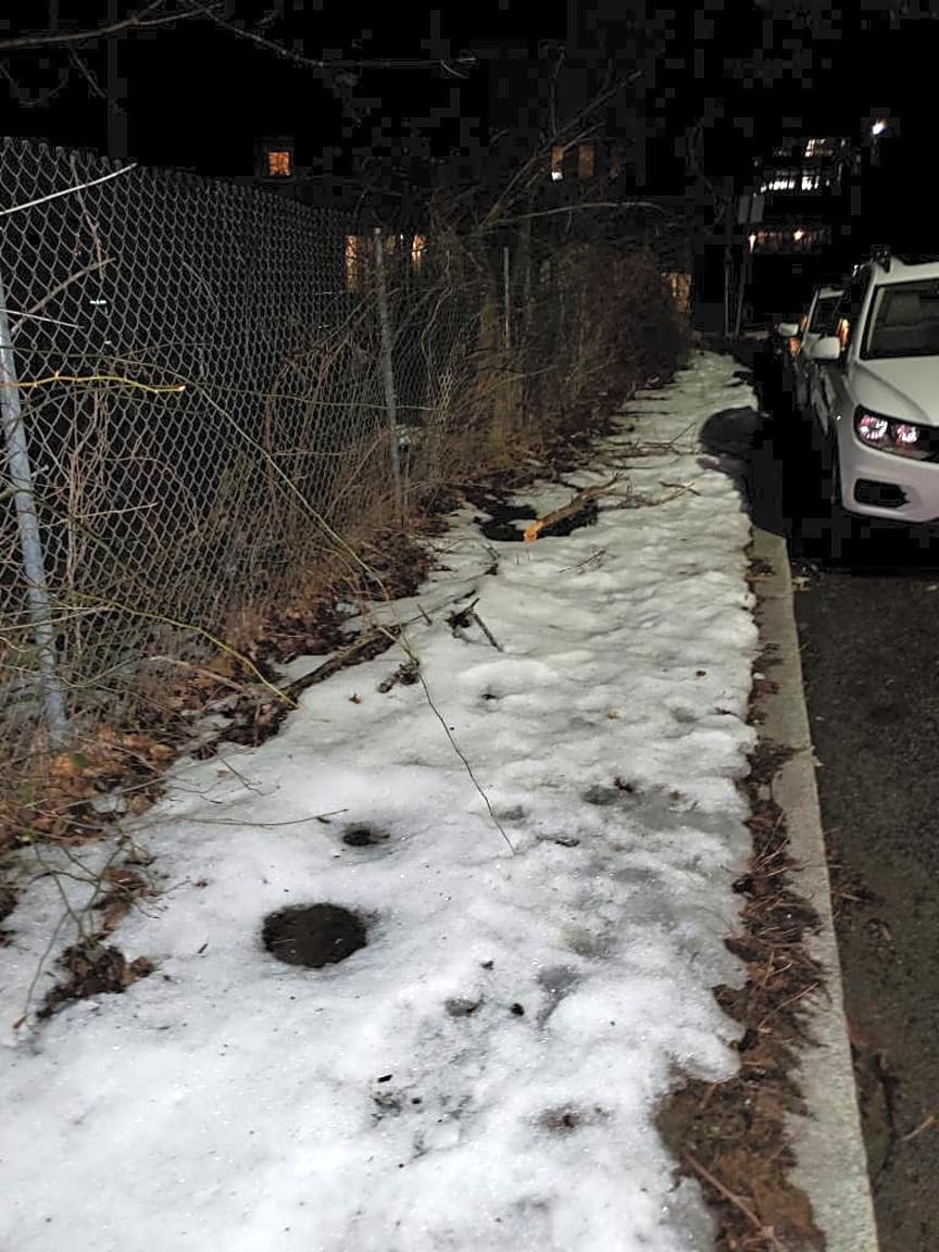 Image submitted with report