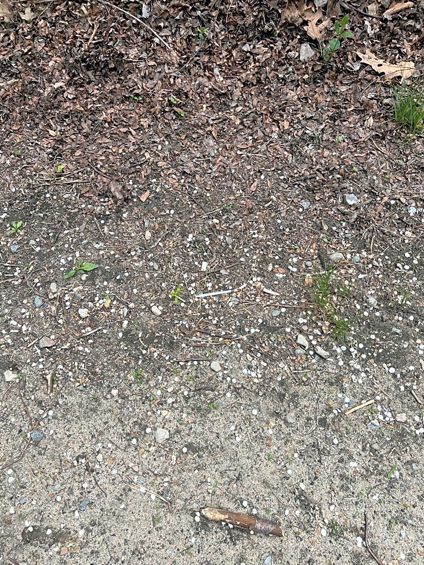 Image submitted with report