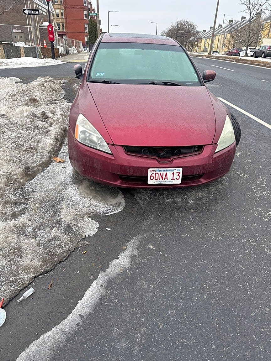 Image submitted with report