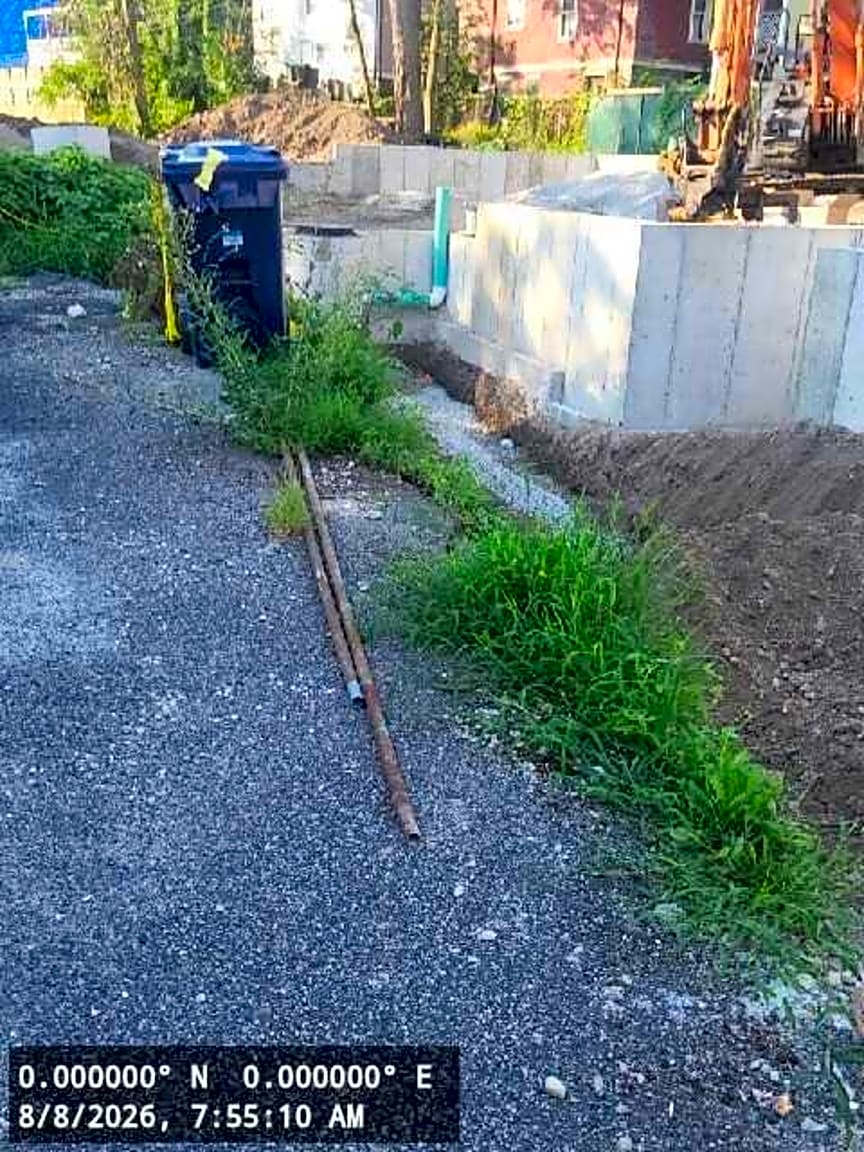 Image submitted with report