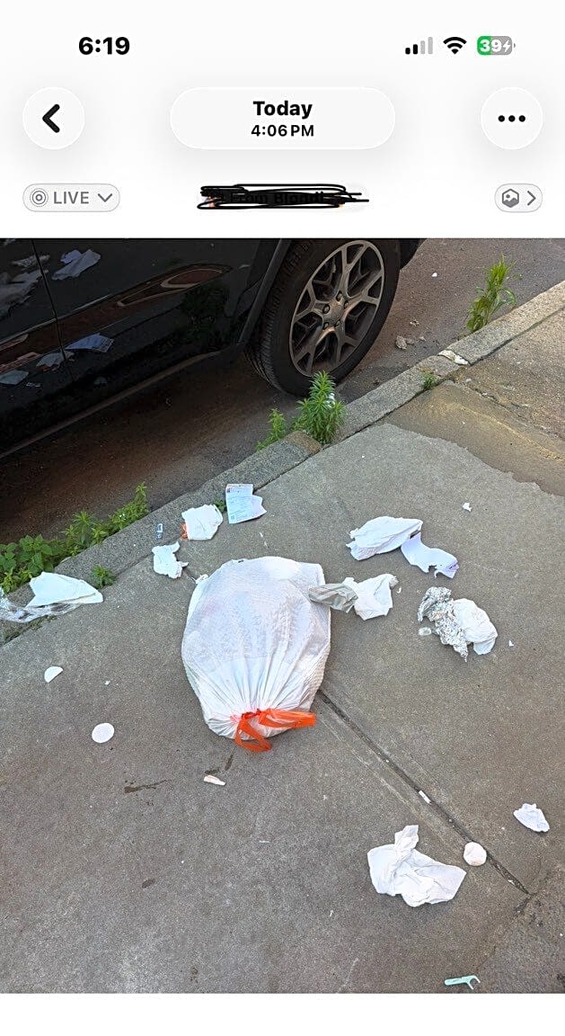 Image submitted with report