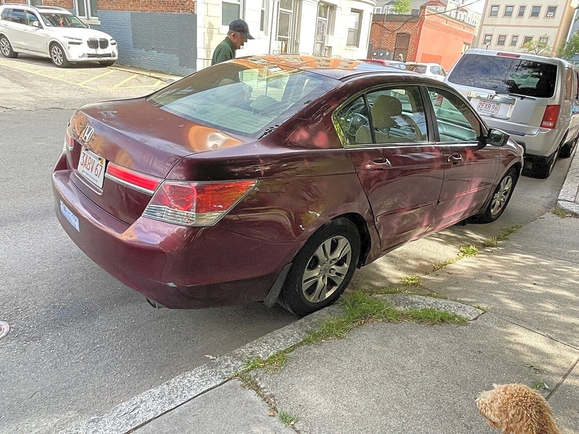 Image submitted with report