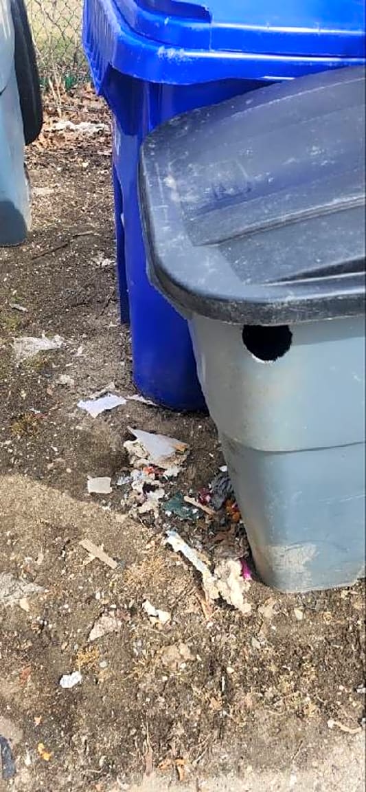 Image submitted with report