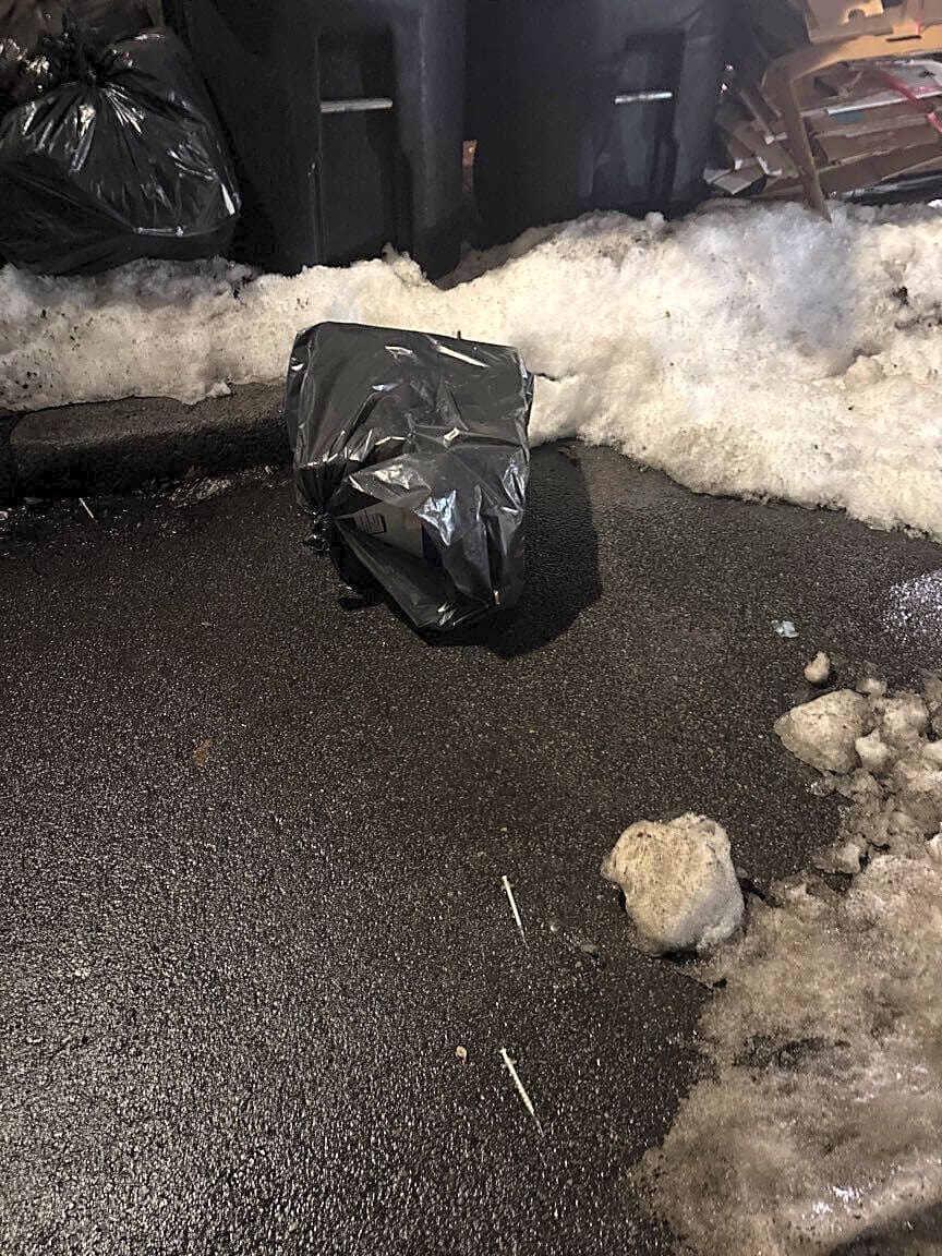 Image submitted with report