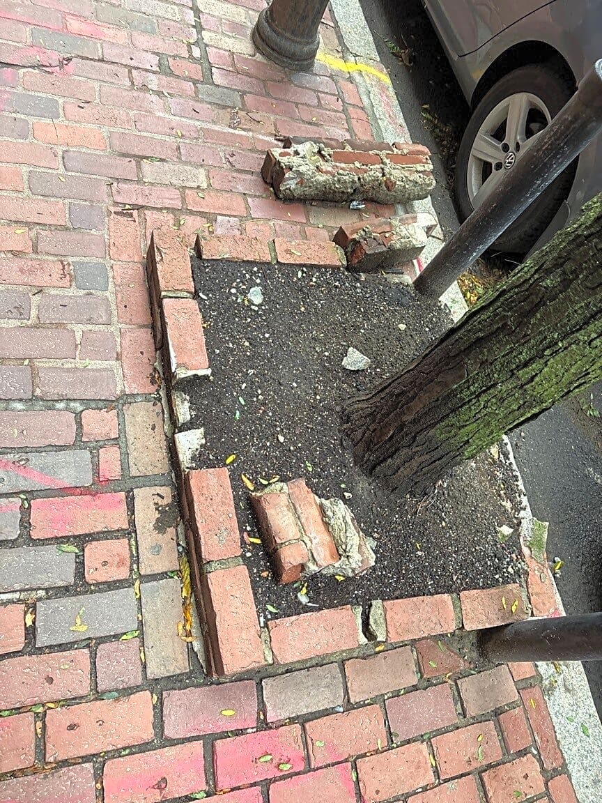Image submitted with report