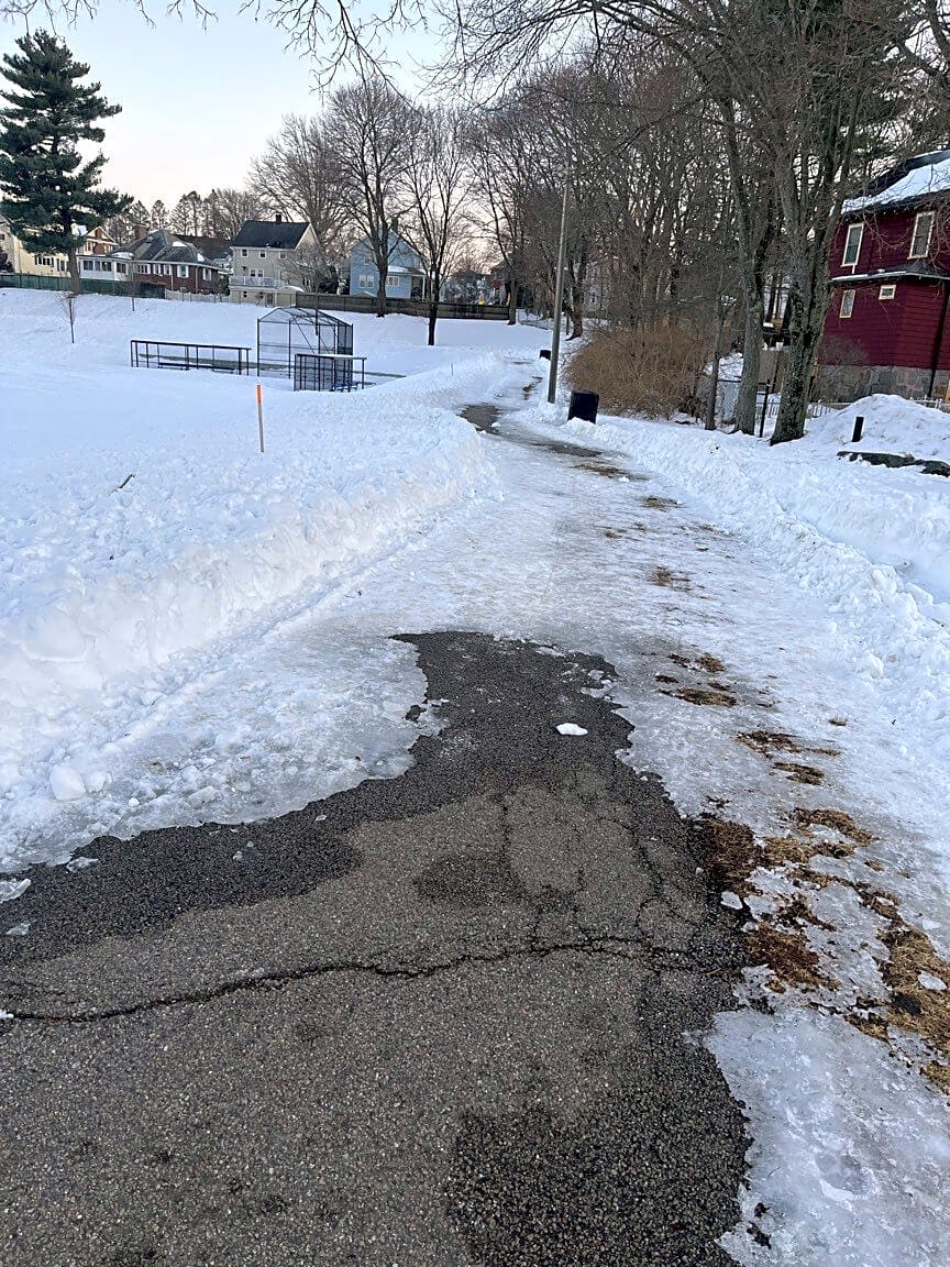 Image submitted with report