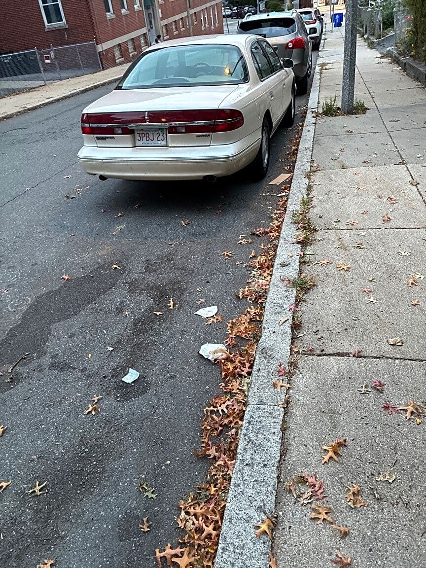 Image submitted with report