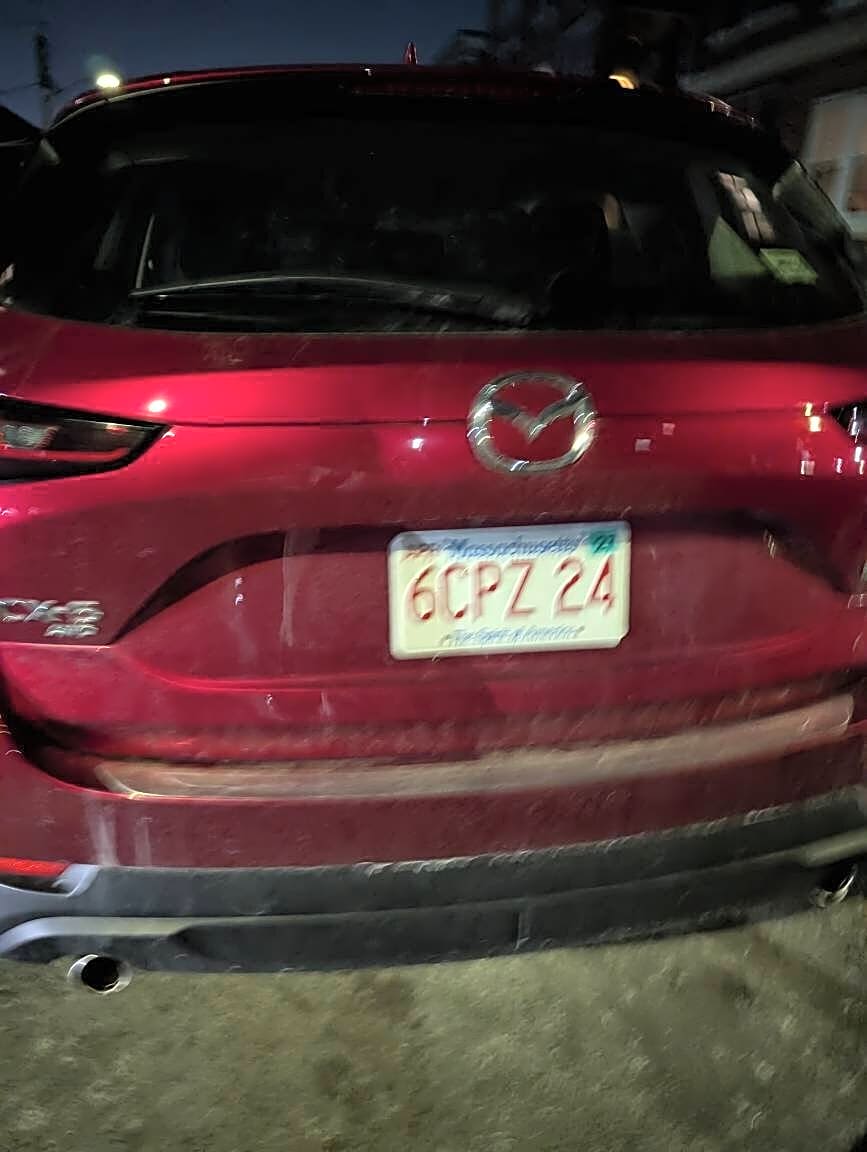 Image submitted with report