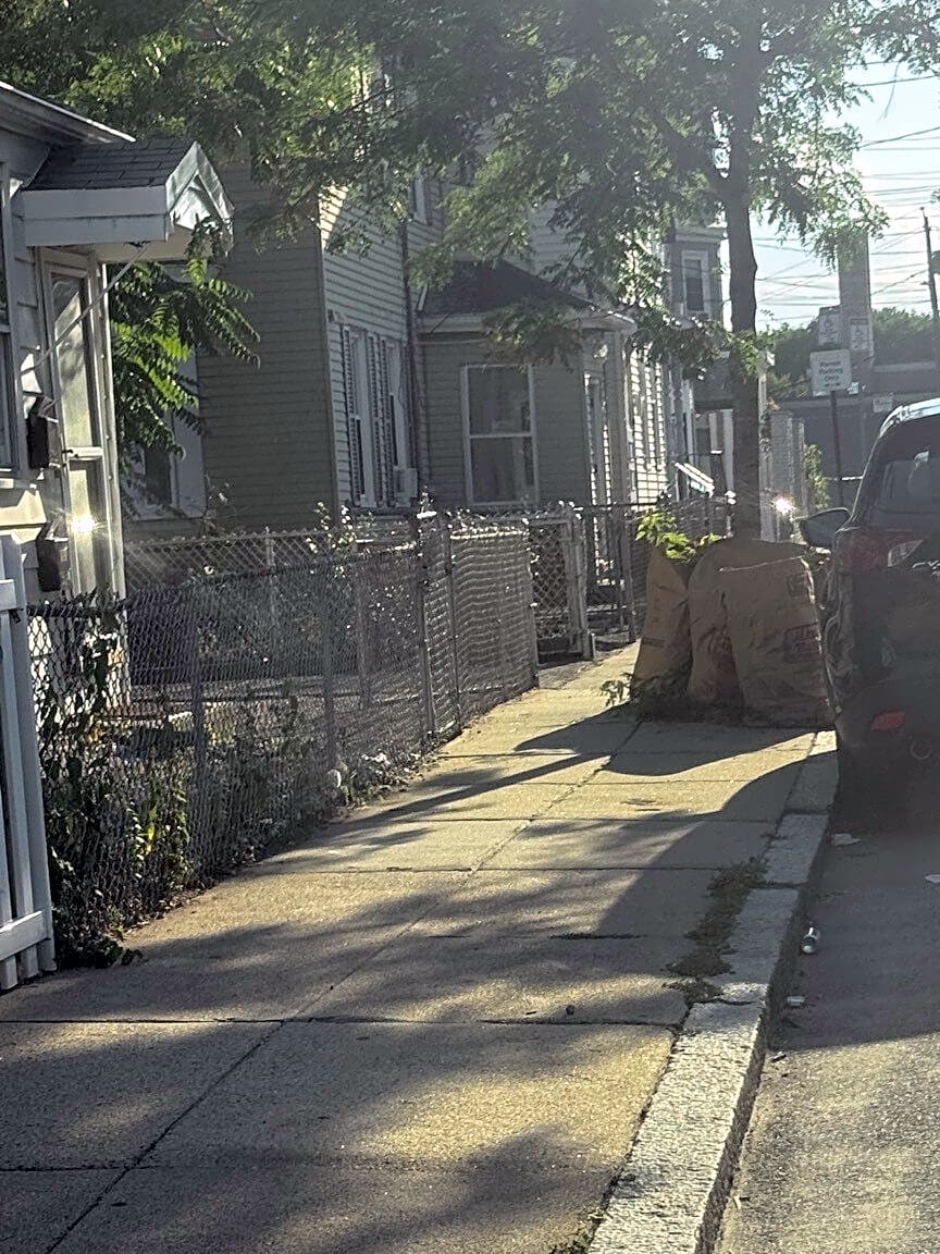 Image submitted with report