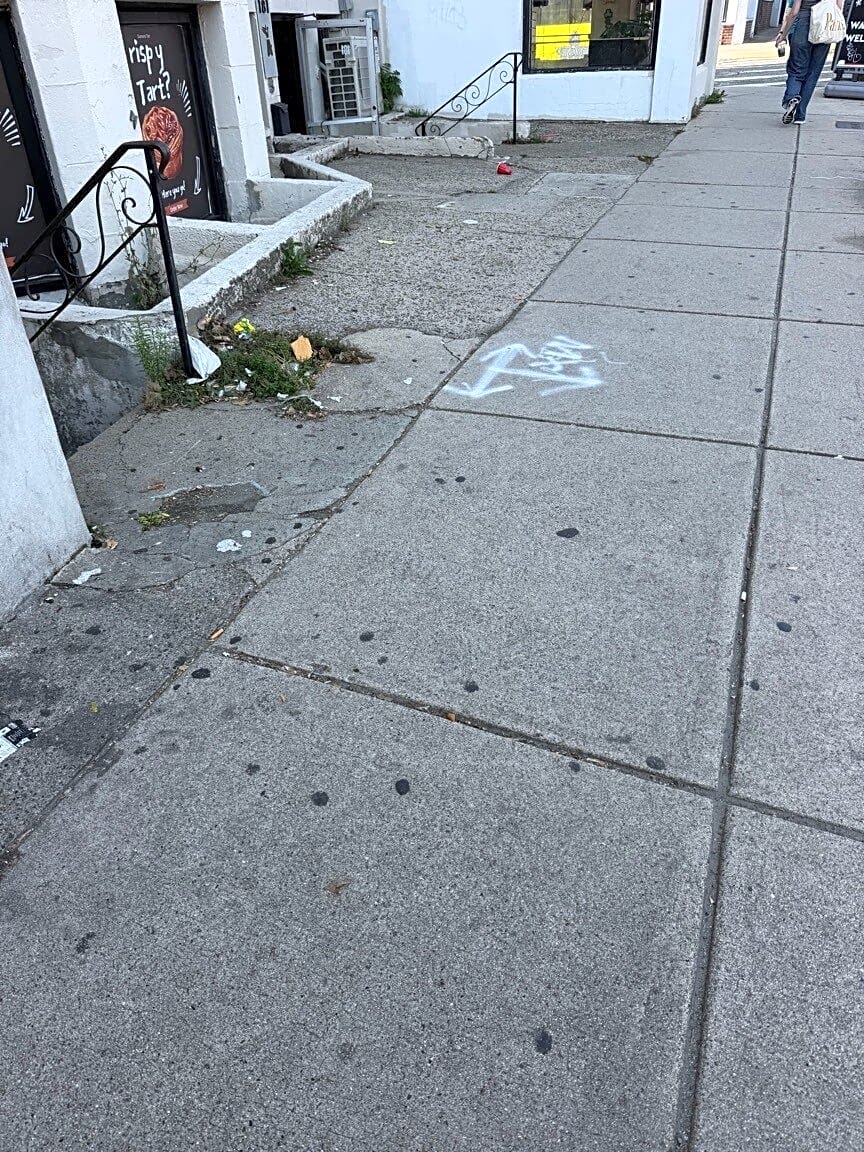 Image submitted with report