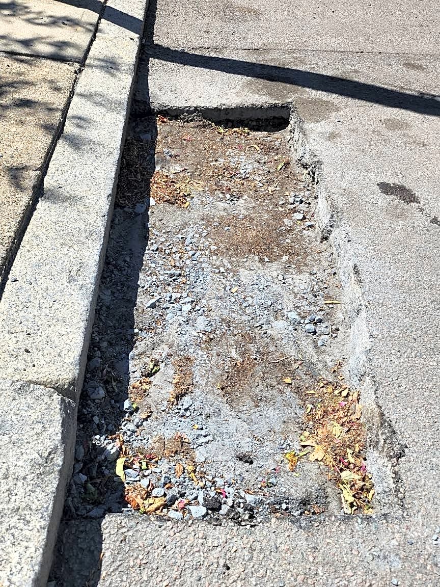Image submitted with report