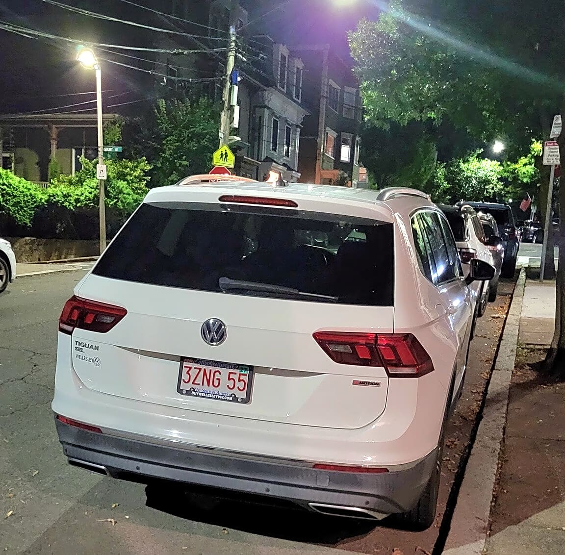 Image submitted with report