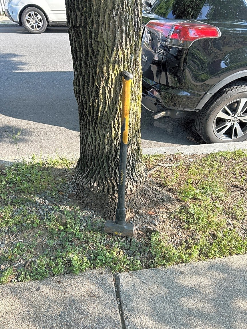 Image submitted with report