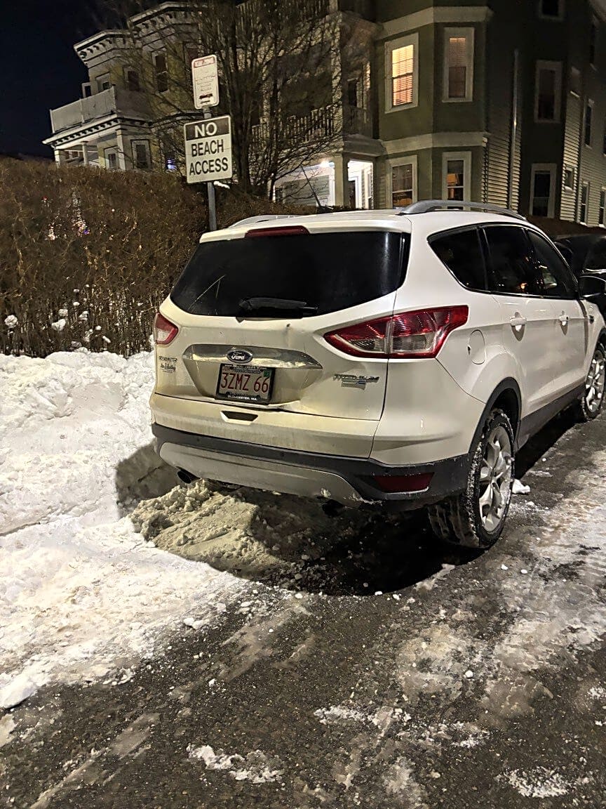 Image submitted with report