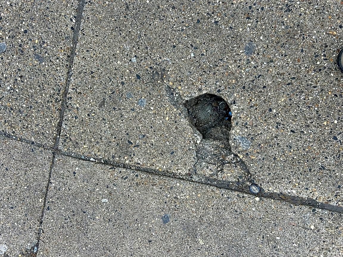 Image submitted with report