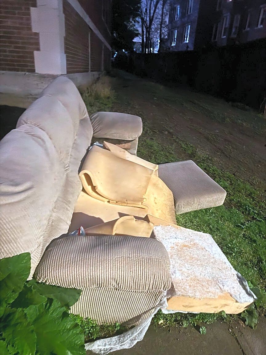 Image submitted with report