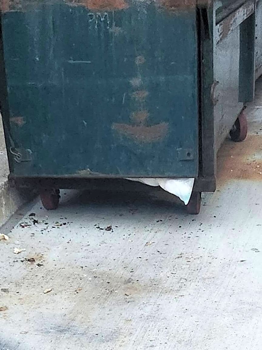 Image submitted with report