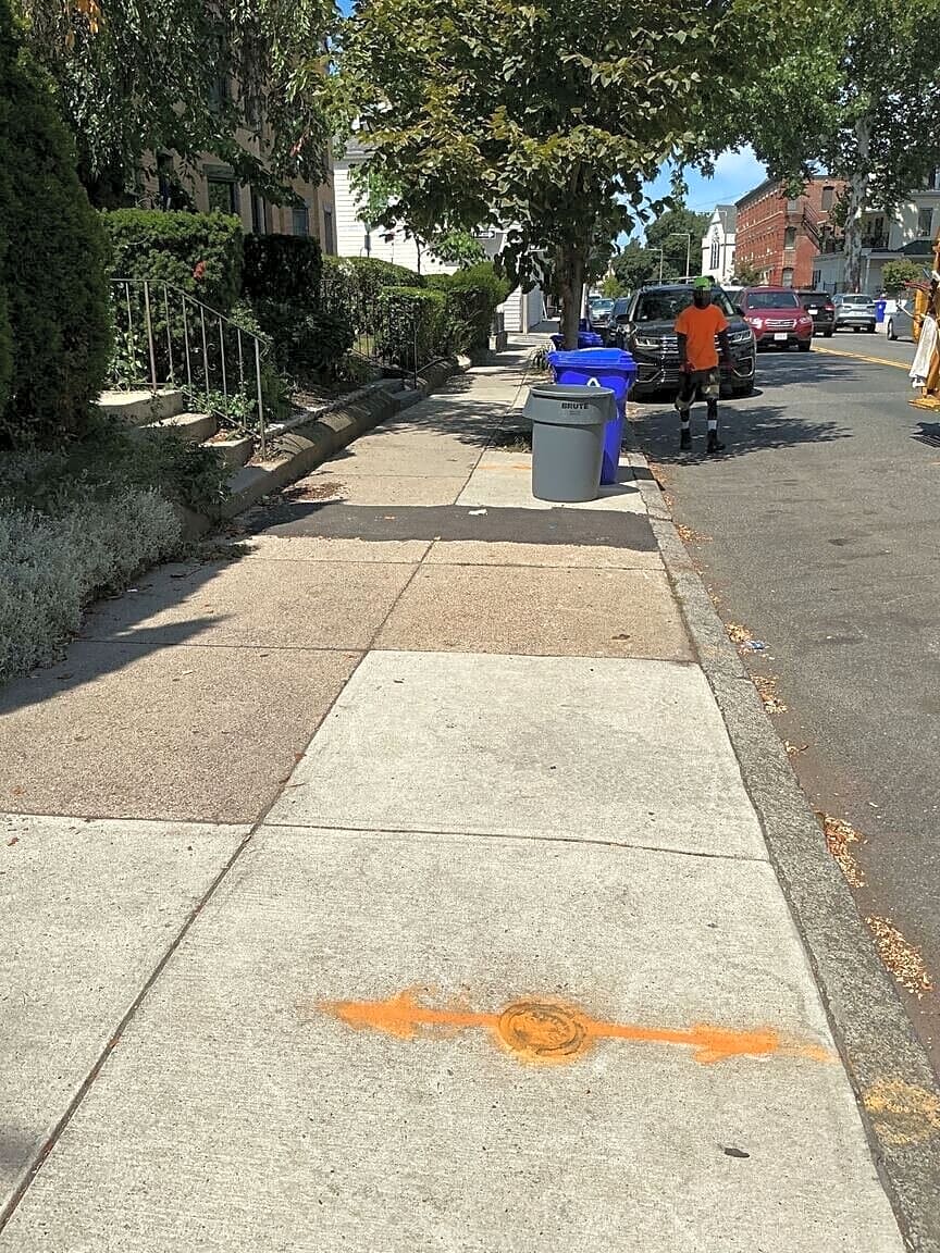 Image submitted with report