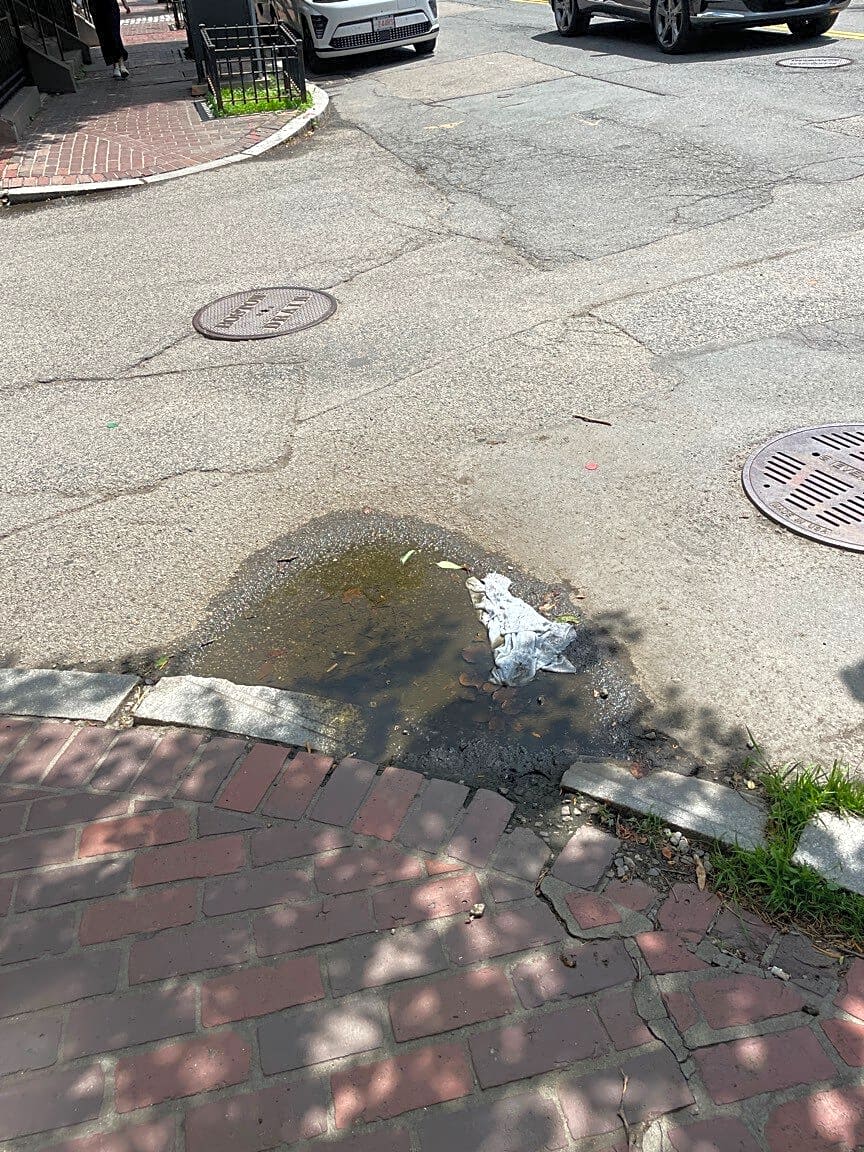 Image submitted with report