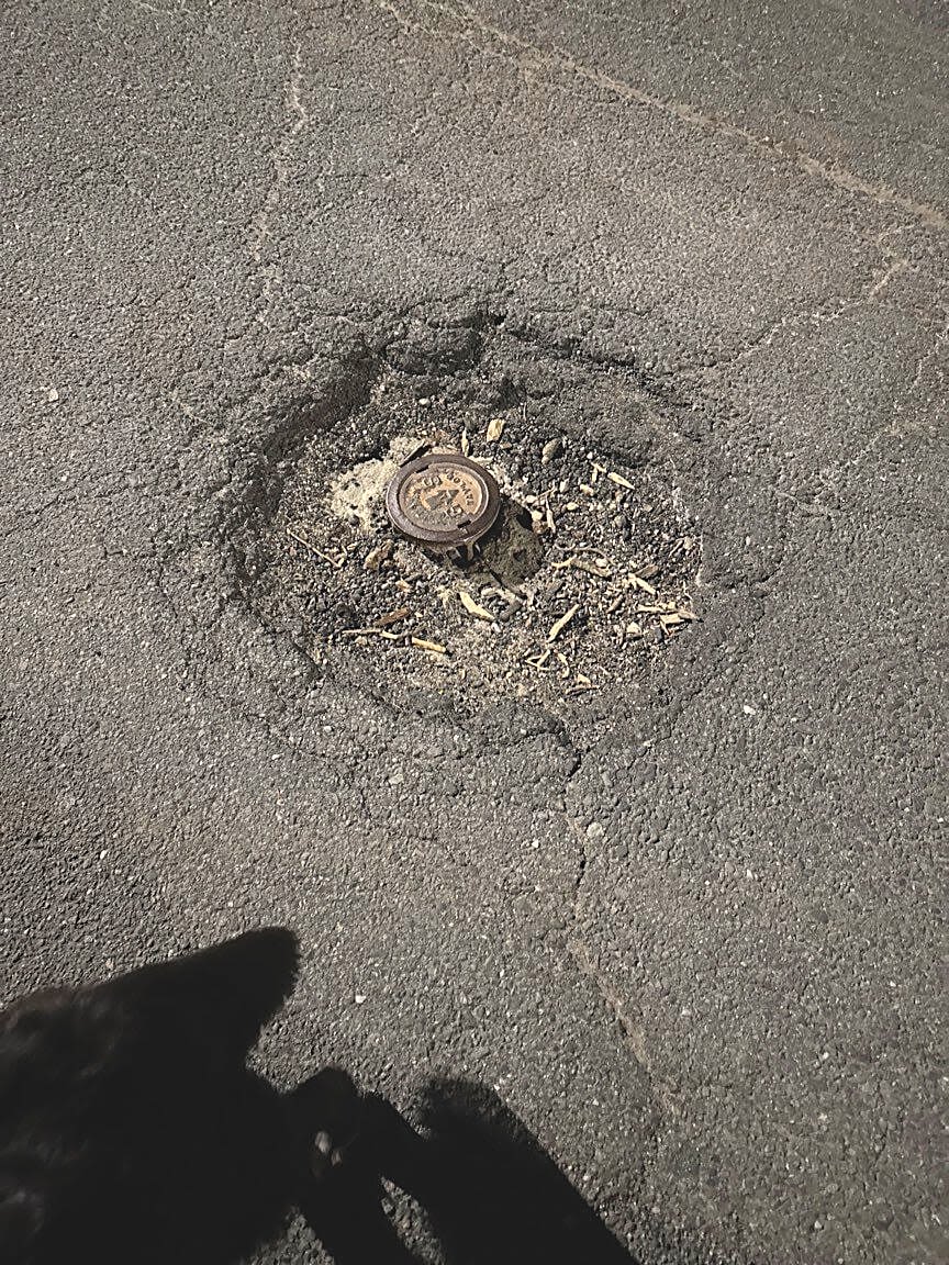 Image submitted with report