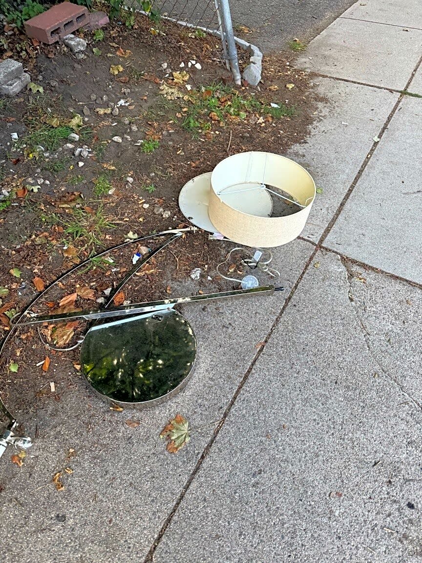 Image submitted with report