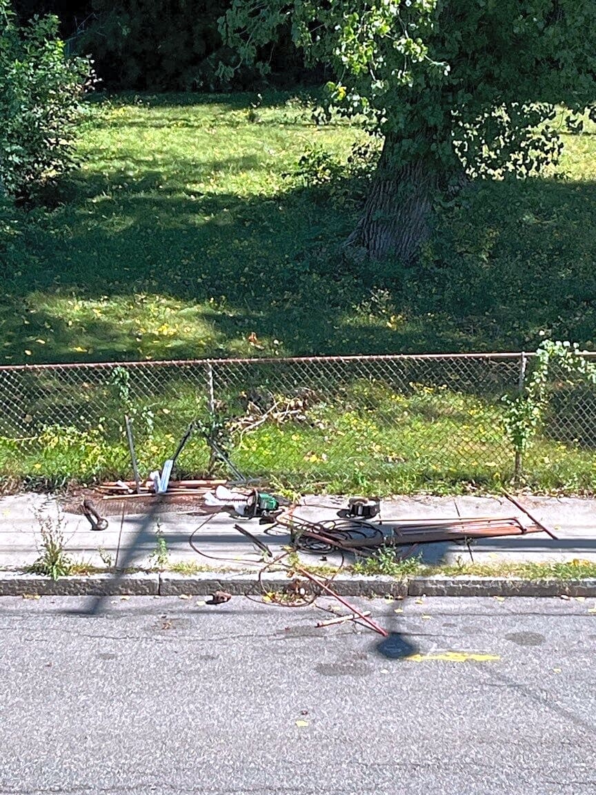 Image submitted with report
