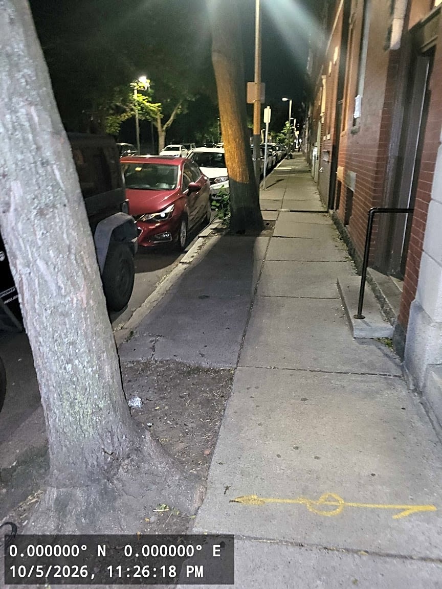 Image submitted with report