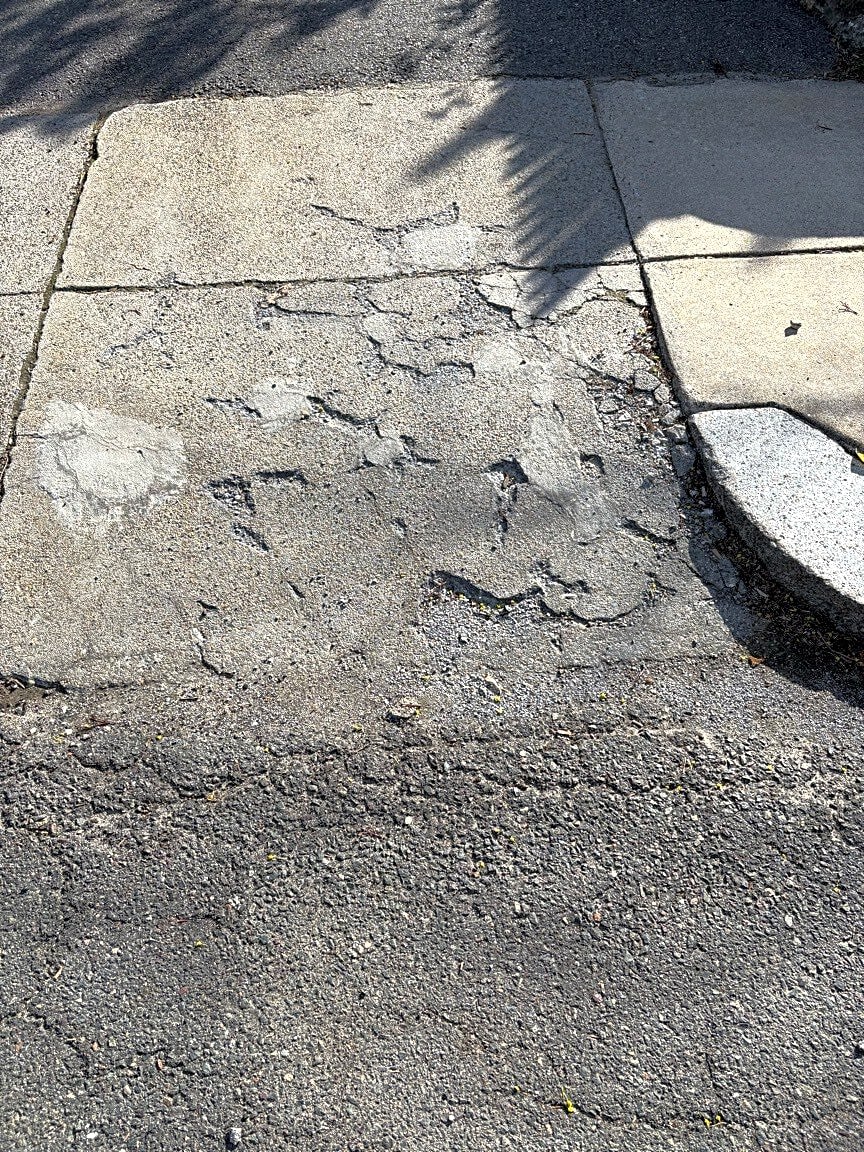 Image submitted with report