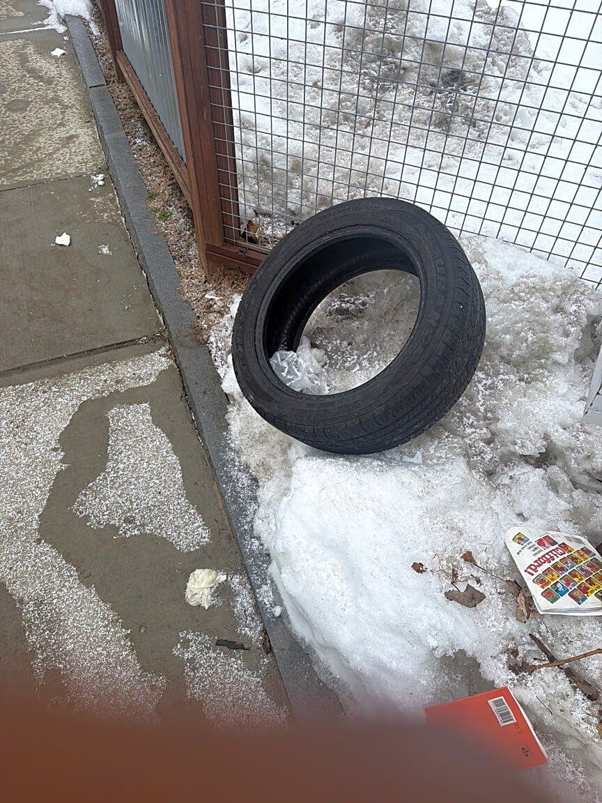 Image submitted with report