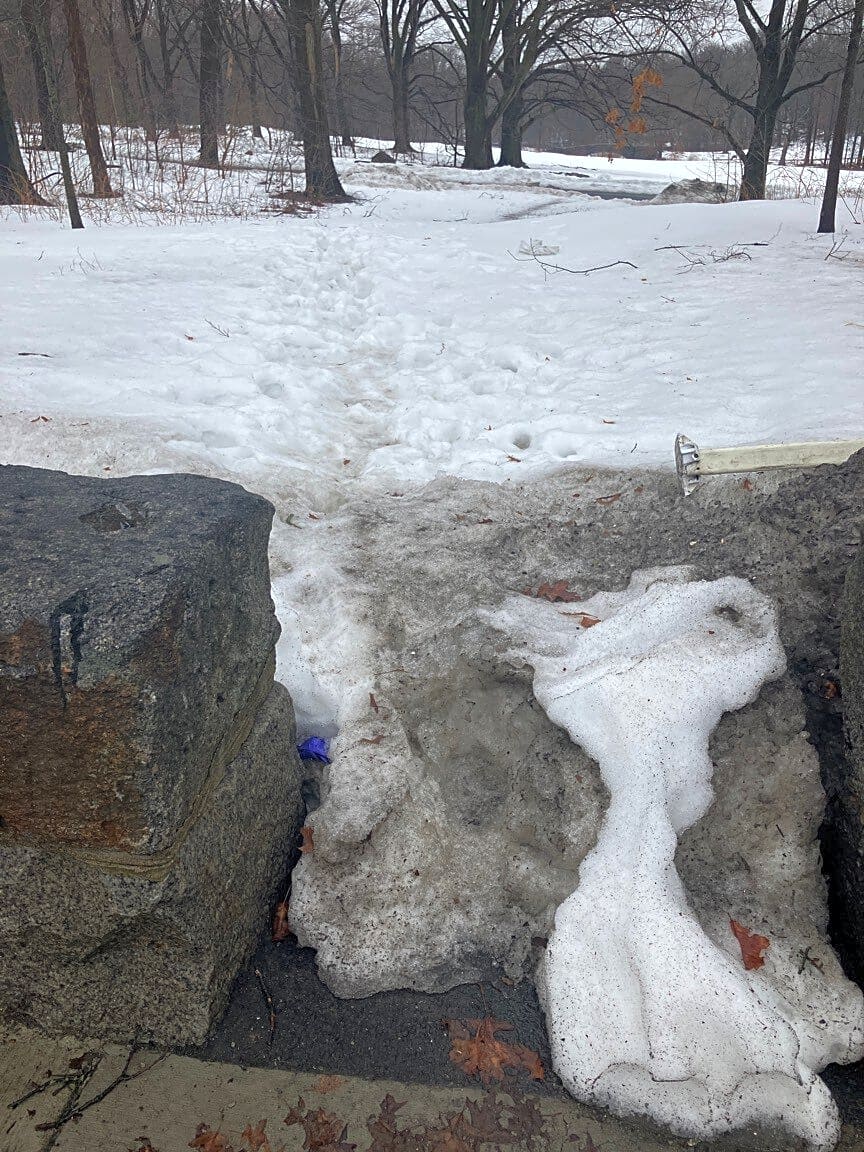 Image submitted with report