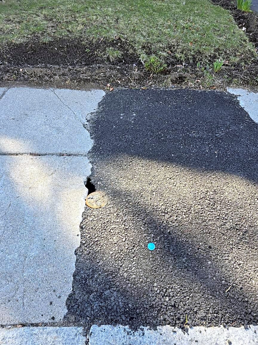 Image submitted with report