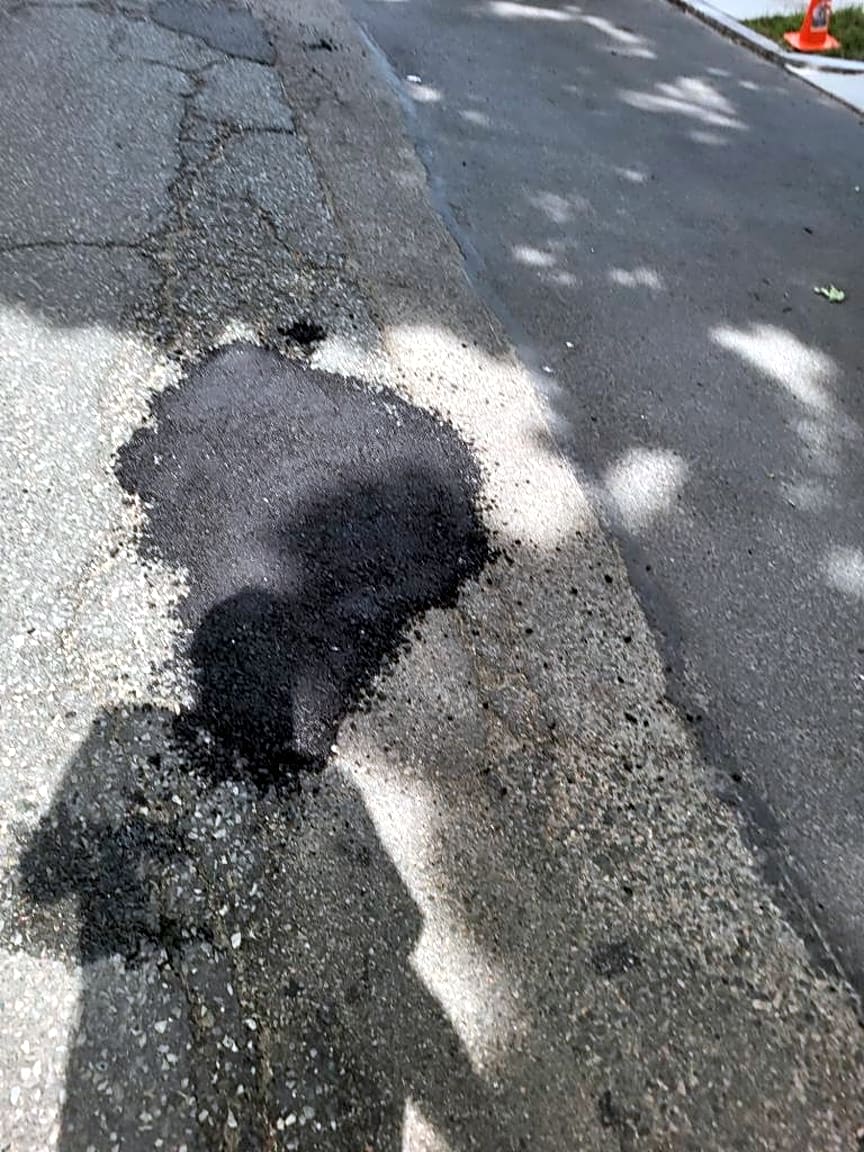 Image submitted with report