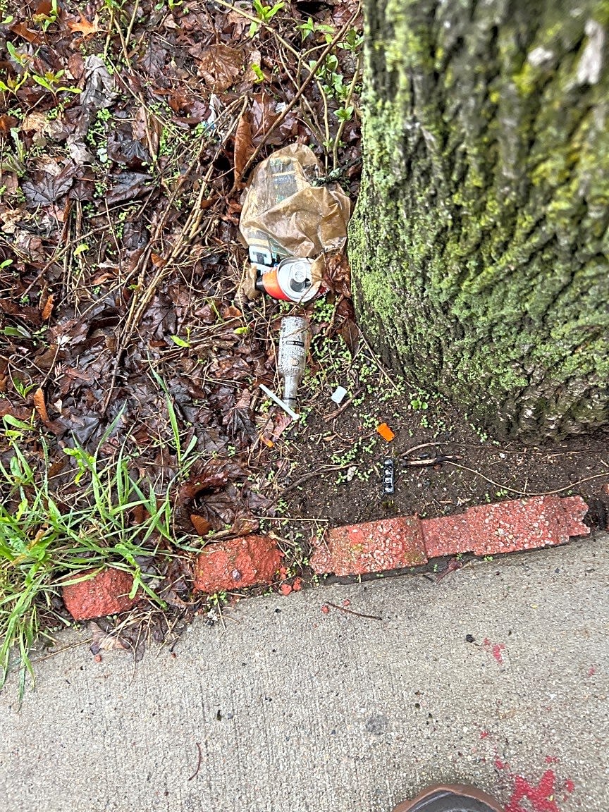 Image submitted with report