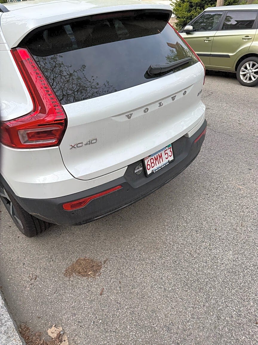 Image submitted with report