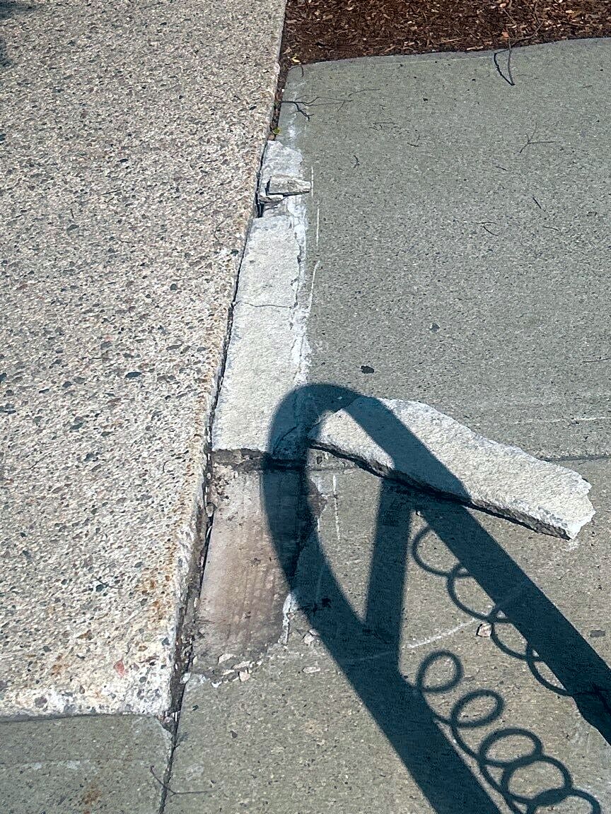 Image submitted with report