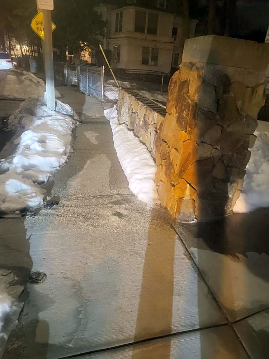 Image submitted with report