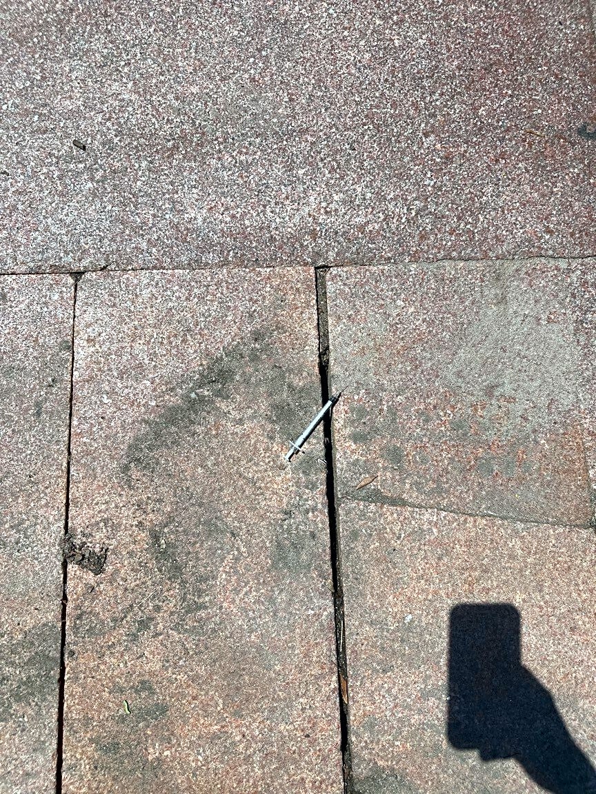 Image submitted with report