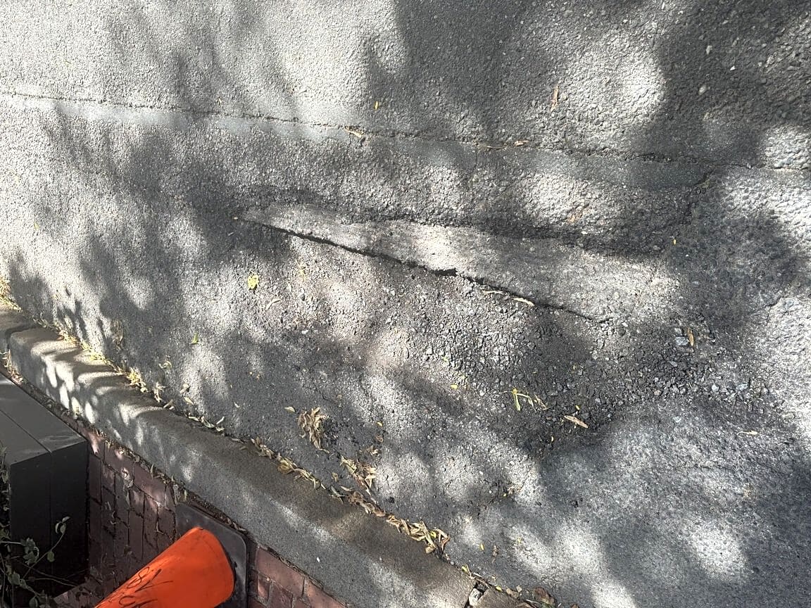 Image submitted with report