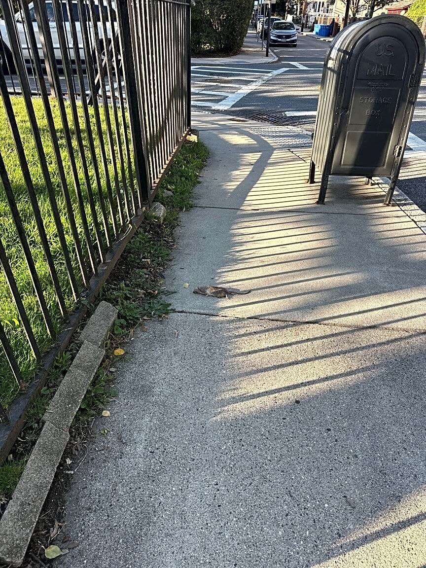 Image submitted with report
