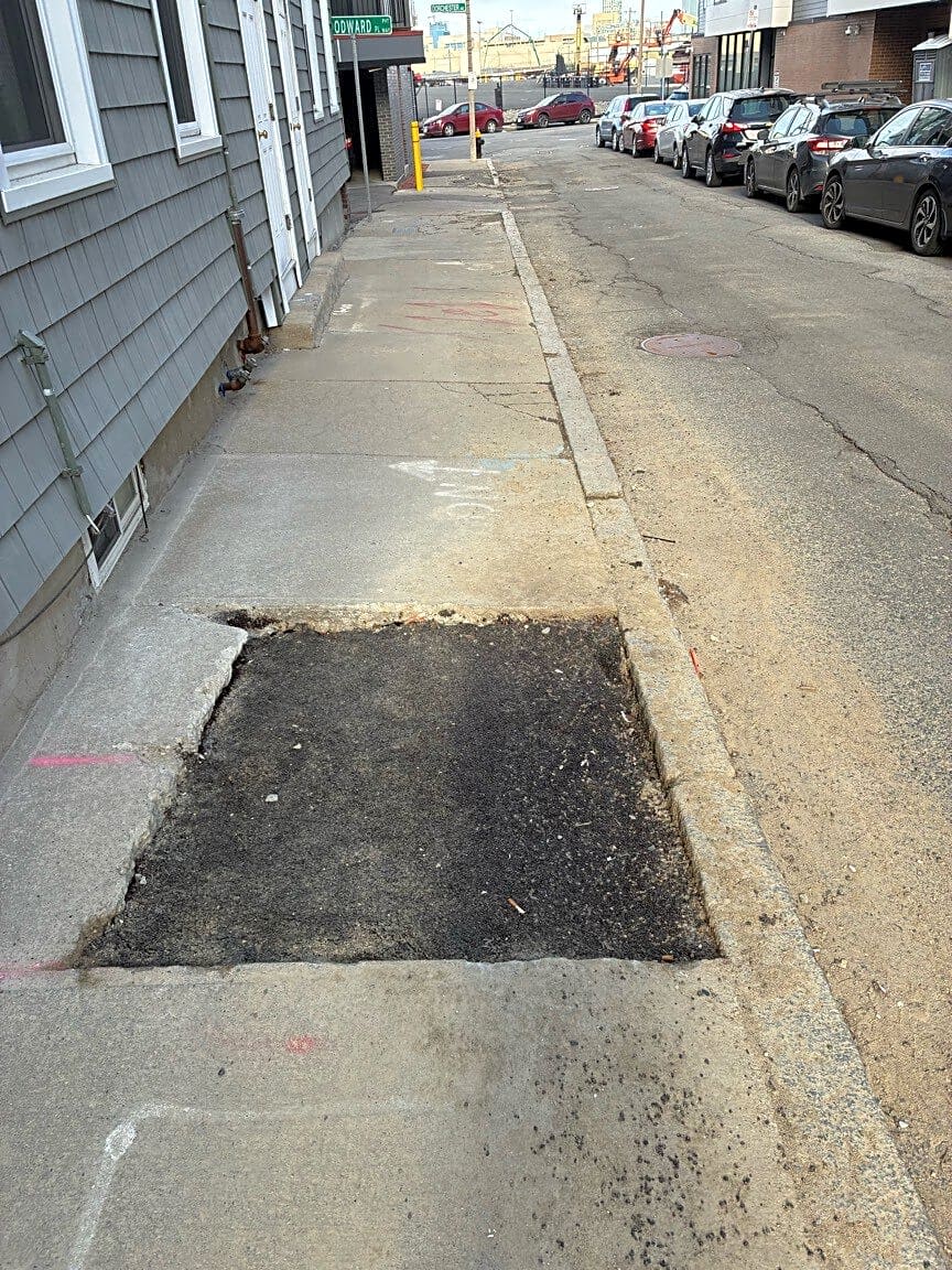 Image submitted with report