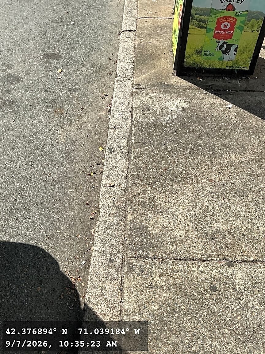 Image submitted with report