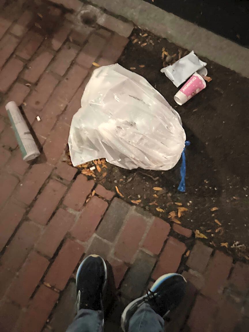 Image submitted with report