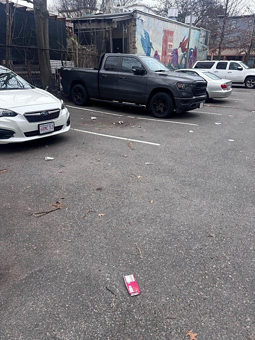 Image submitted with report