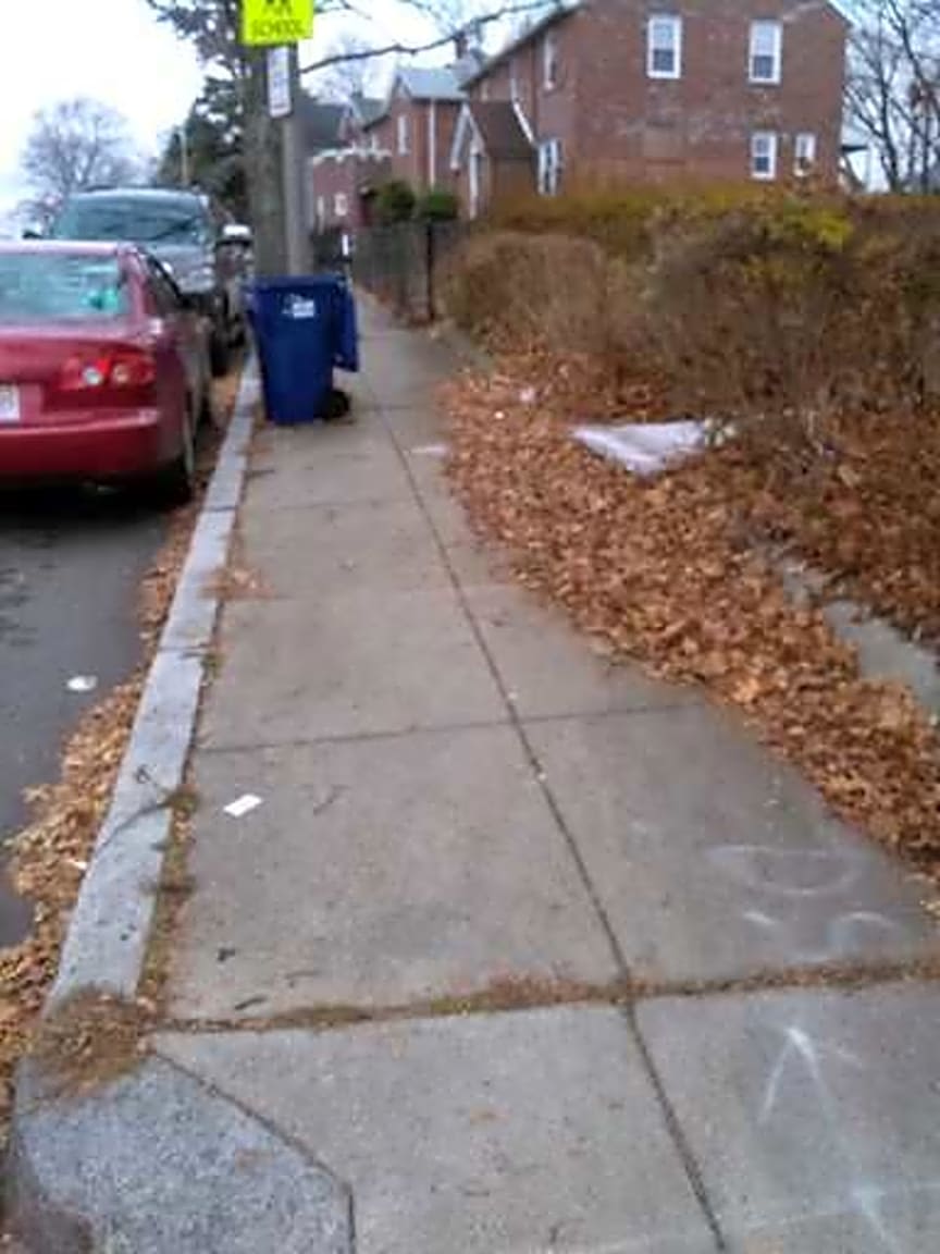 Image submitted with report