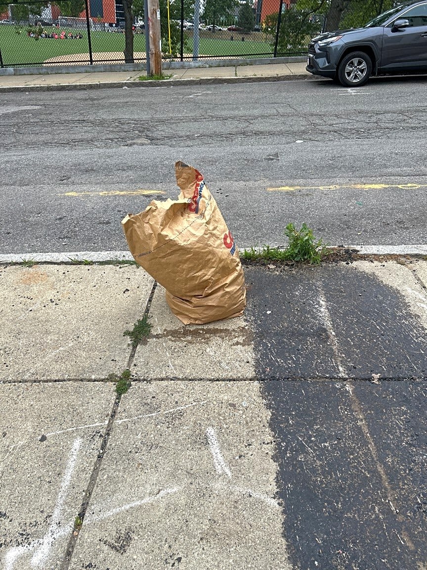 Image submitted with report