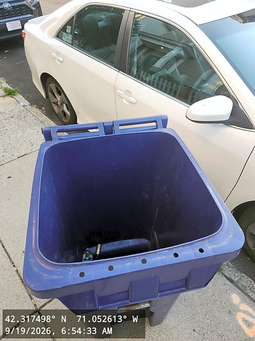 Image submitted with report
