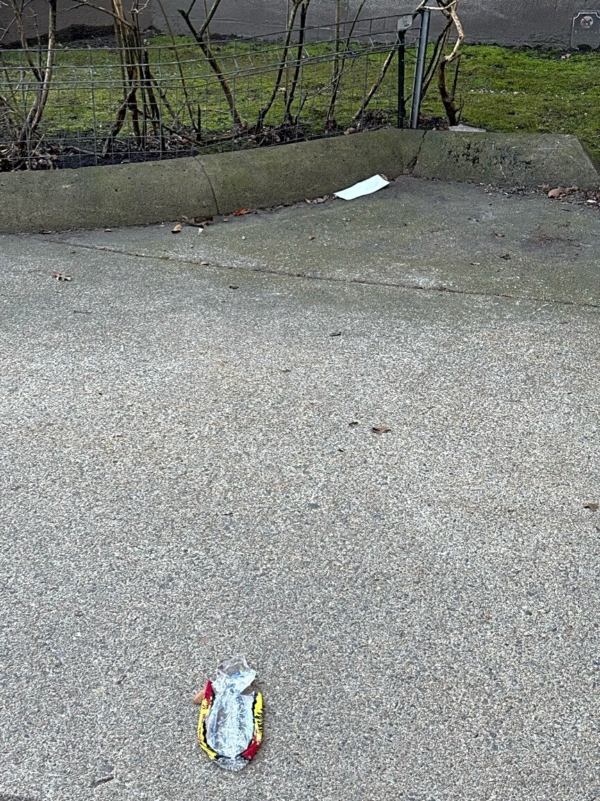 Image submitted with report