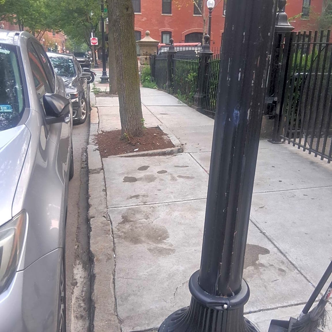 Image submitted with report