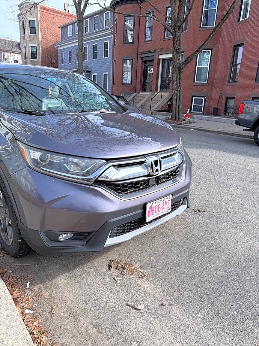 Image submitted with report